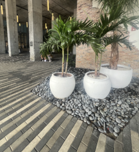 Captura de pantalla 2025 12 02 a las 16.00.38