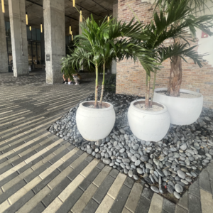 Captura de pantalla 2025 12 02 a las 16.00.38