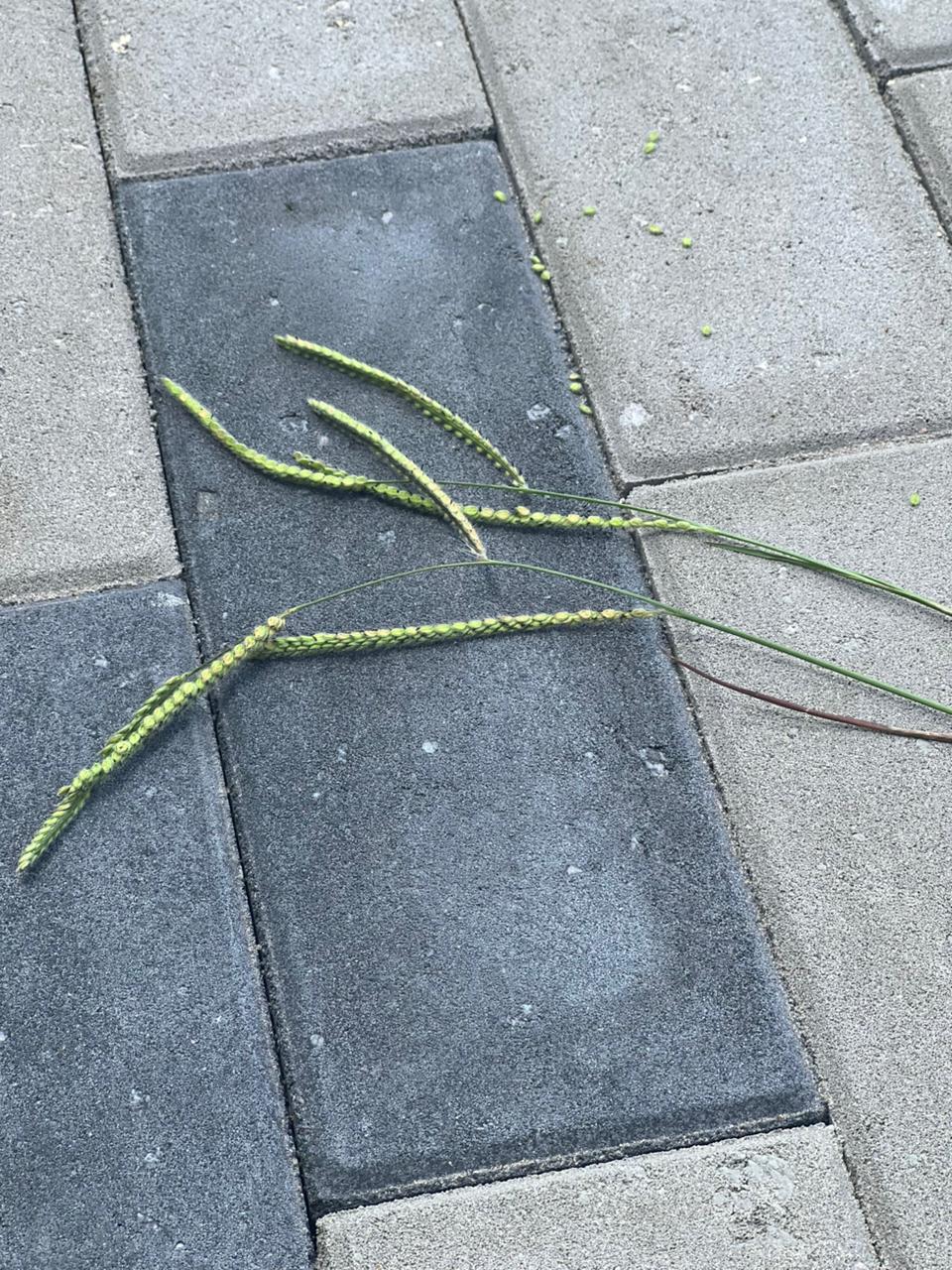 Bará Product Carousel