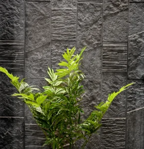 Piu 044 42fef7bfffe677d66217515630457586 1024